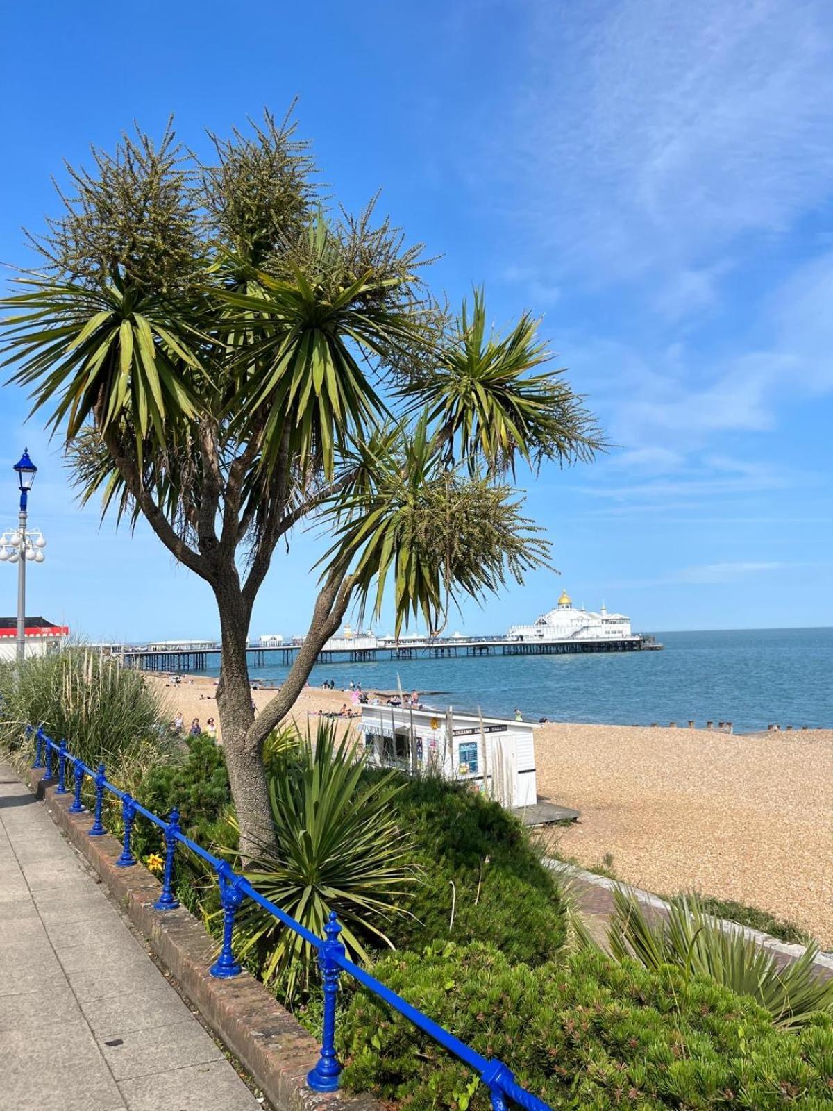 "The Celebration" Balcony Seafront Apartment WTA WTA Eastbourne Exterior foto